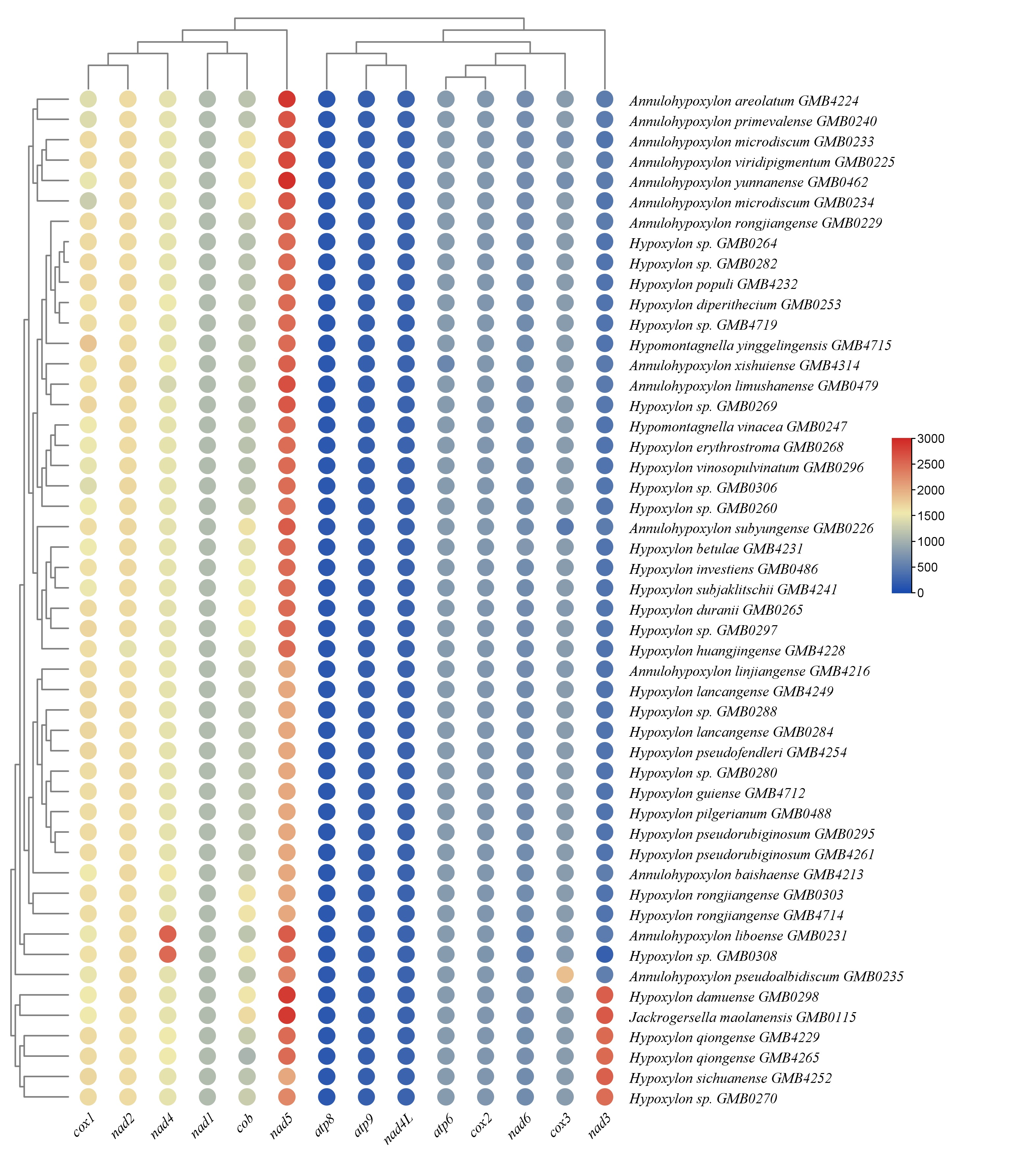 Figure 24
